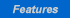 Web Hosting Features